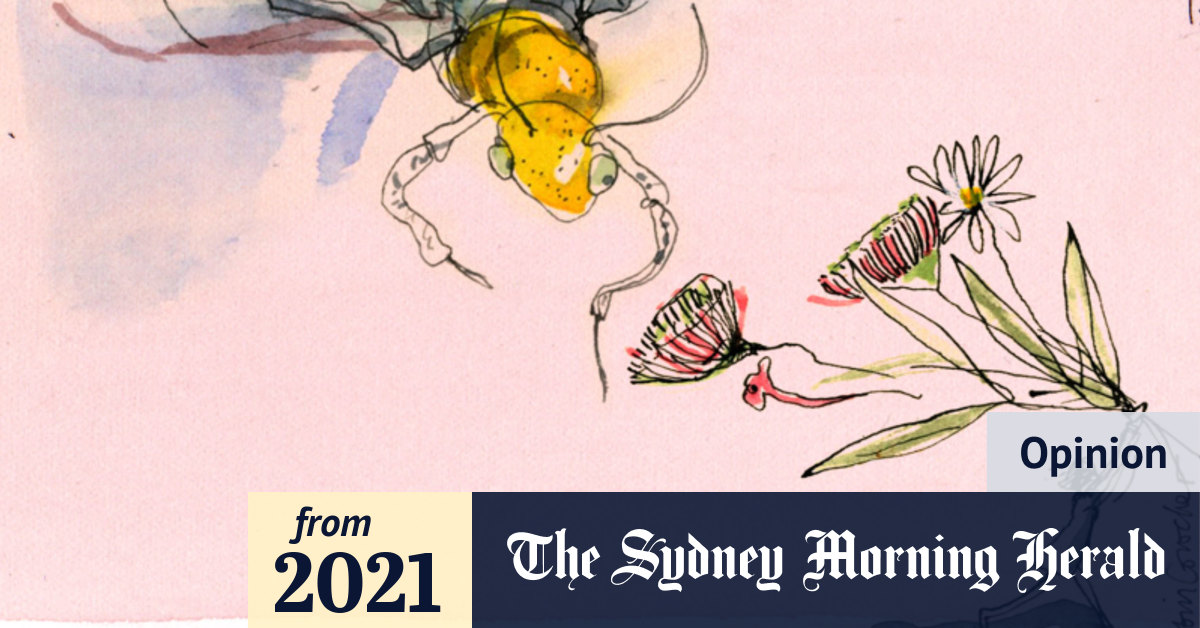 Our couchbound kids don’t know what they’re missing out on